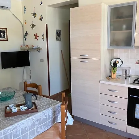 Apartment Plumbago